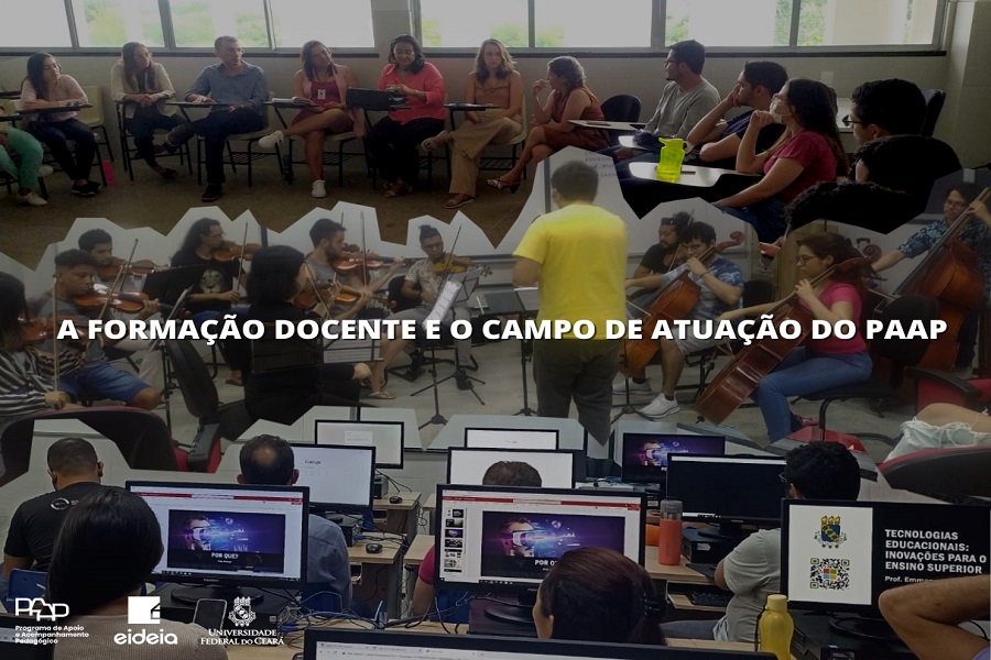 A FORMAÇÃO DOCENTE E O CAMPO DE ATUAÇÃO DO PAAP